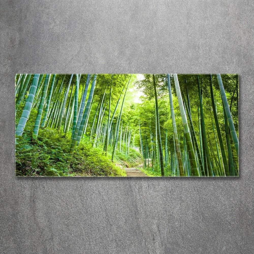 Print on acrylic Bamboo forest