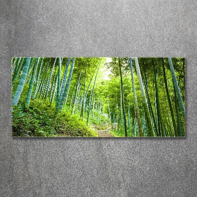 Print on acrylic Bamboo forest