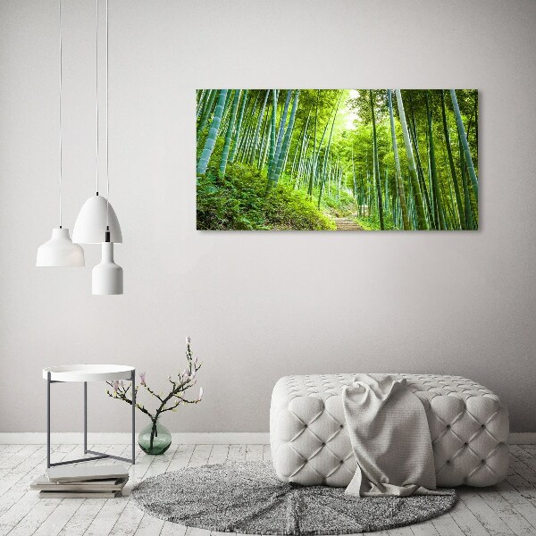 Print on acrylic Bamboo forest