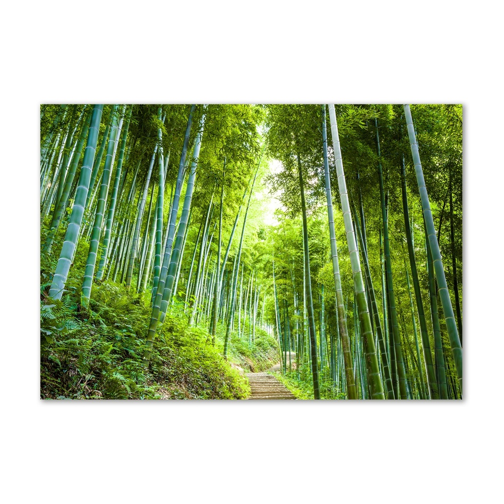 Print on acrylic Bamboo forest