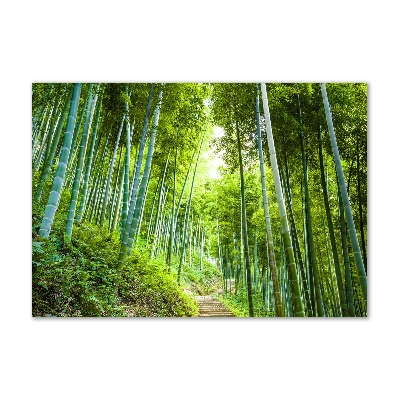 Print on acrylic Bamboo forest