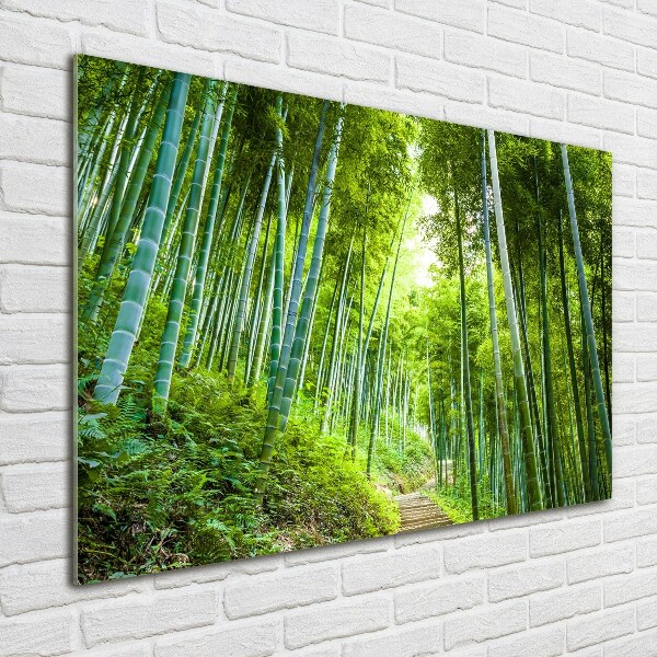 Print on acrylic Bamboo forest