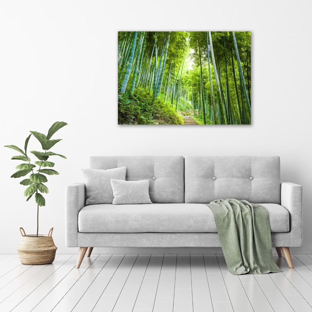 Print on acrylic Bamboo forest