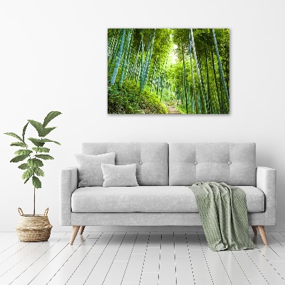 Print on acrylic Bamboo forest