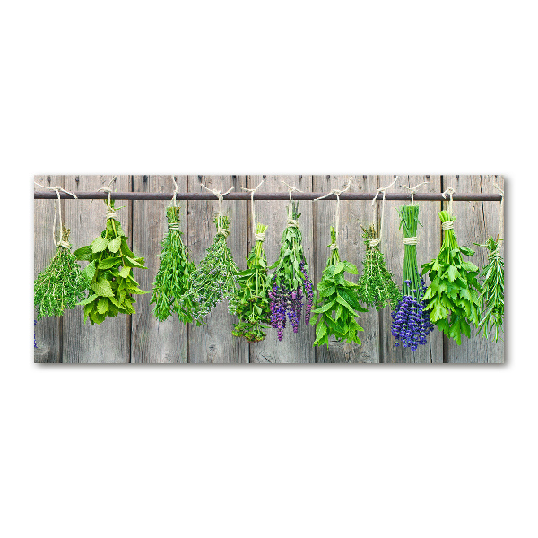 Print on acrylic Herbs on a string