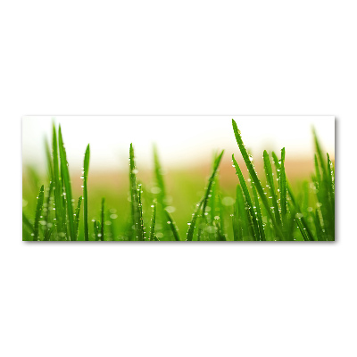 Wall art acrylic Grass