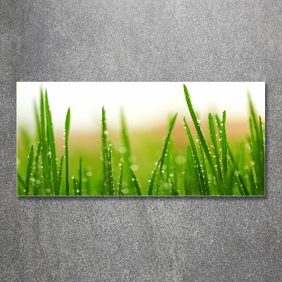 Wall art acrylic Grass