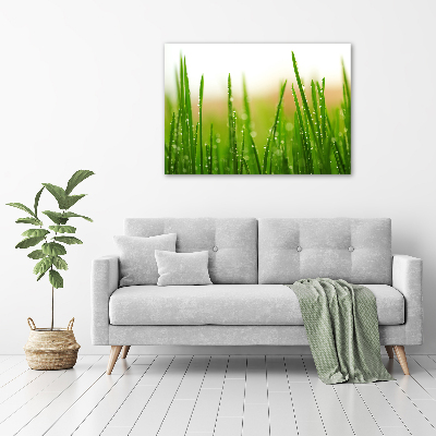 Wall art acrylic Grass