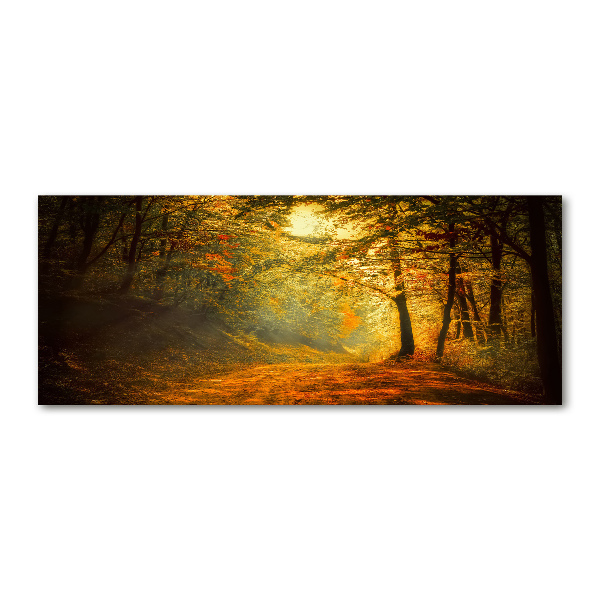 Wall art acrylic Forest in autumn