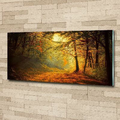 Wall art acrylic Forest in autumn