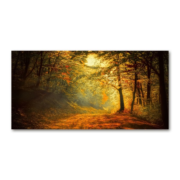 Wall art acrylic Forest in autumn