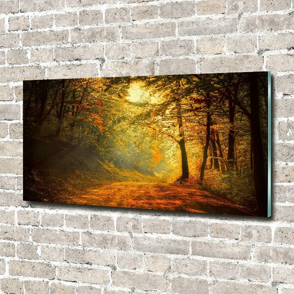 Wall art acrylic Forest in autumn