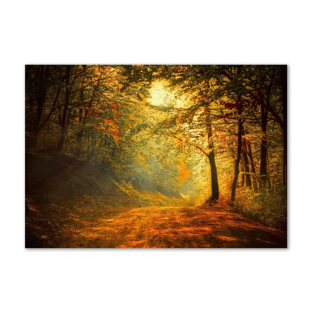 Wall art acrylic Forest in autumn