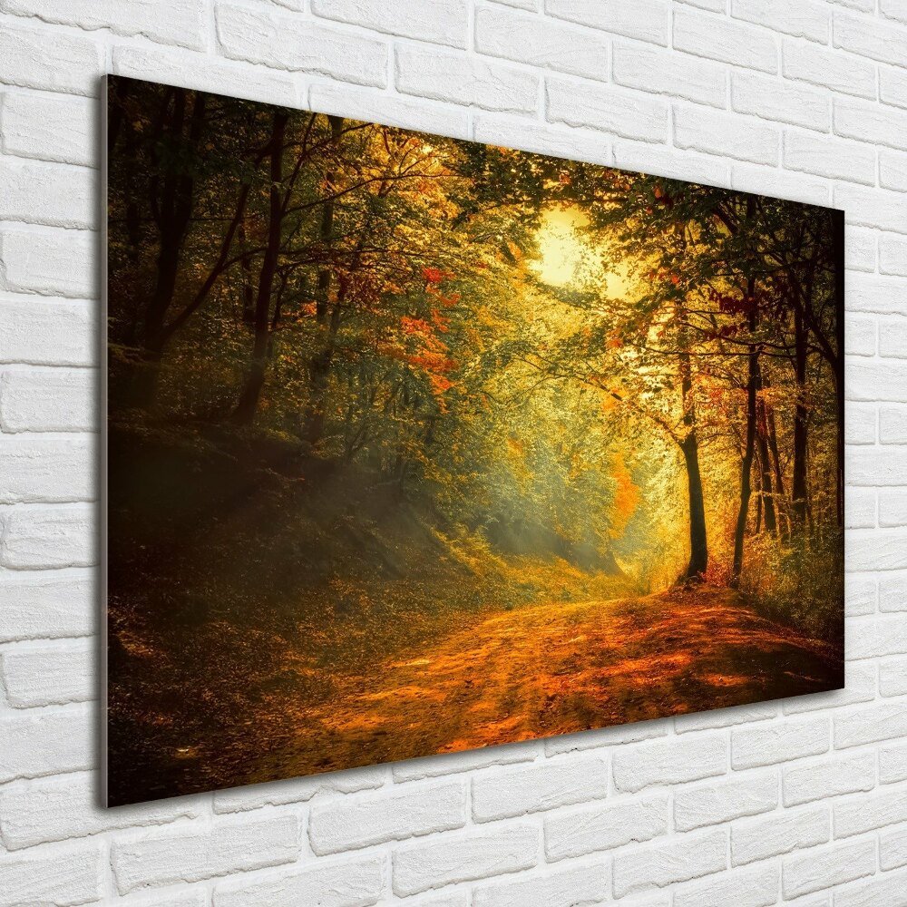 Wall art acrylic Forest in autumn