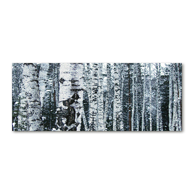 Print on acrylic Birch trees