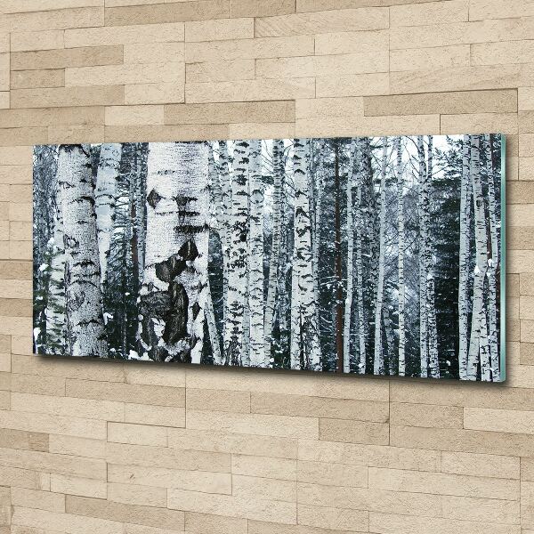 Print on acrylic Birch trees