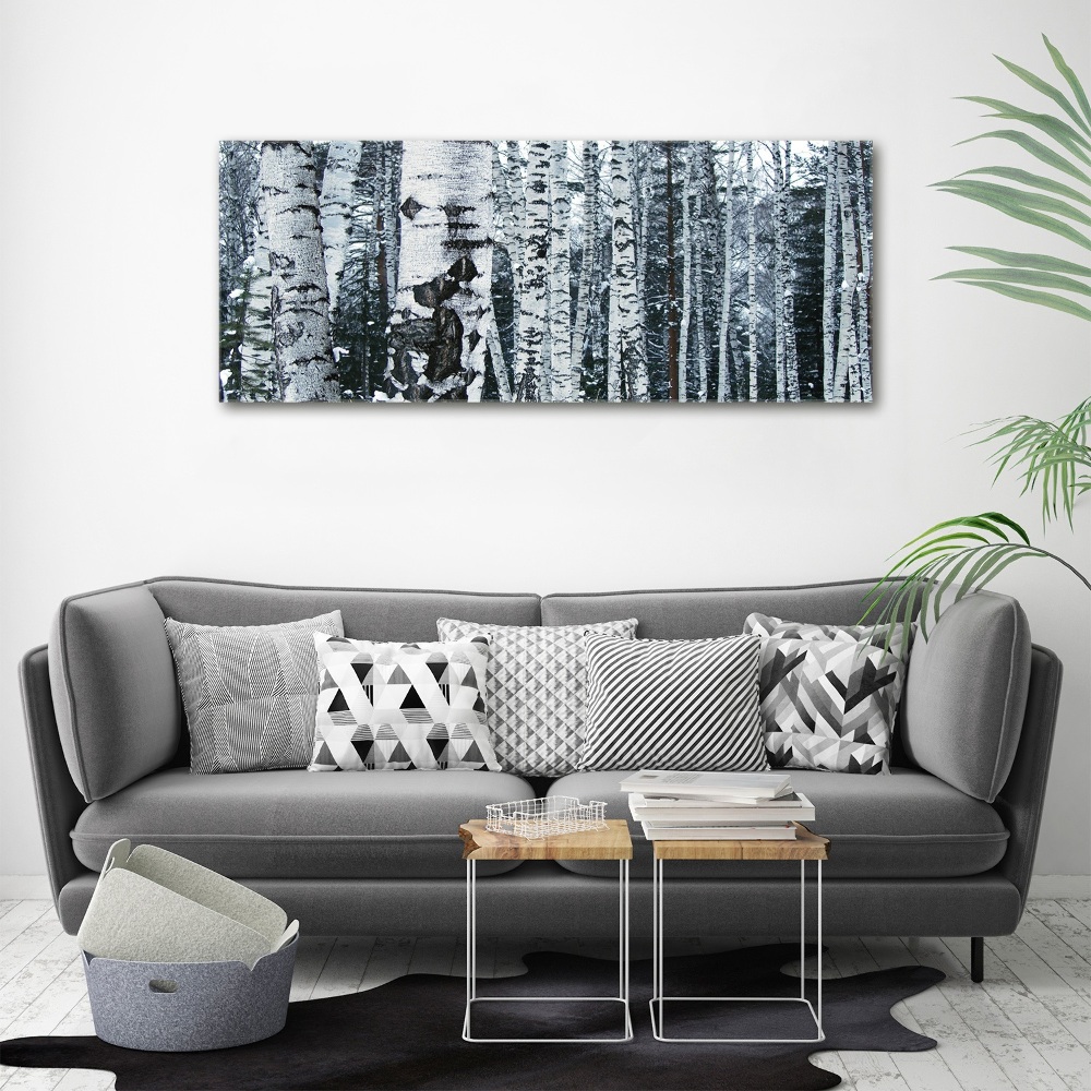 Print on acrylic Birch trees