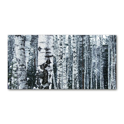 Print on acrylic Birch trees