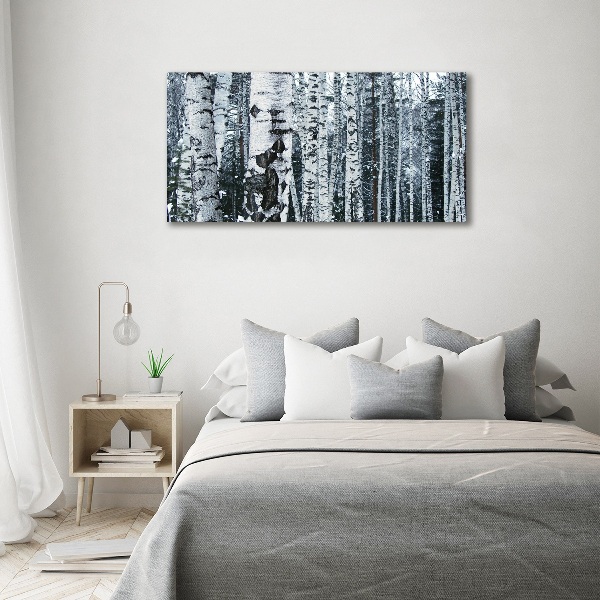 Print on acrylic Birch trees