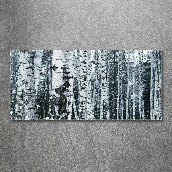 Print on acrylic Birch trees