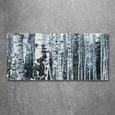 Print on acrylic Birch trees