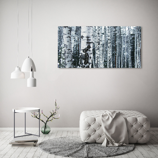 Print on acrylic Birch trees