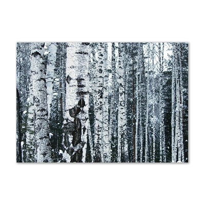 Print on acrylic Birch trees