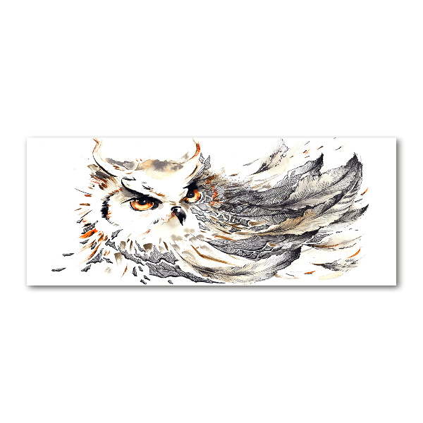 Glass acrylic wall art Owl