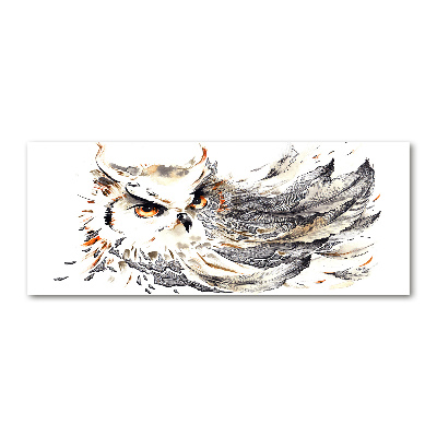 Glass acrylic wall art Owl