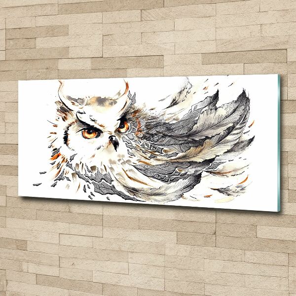 Glass acrylic wall art Owl