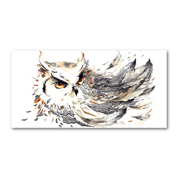 Glass acrylic wall art Owl