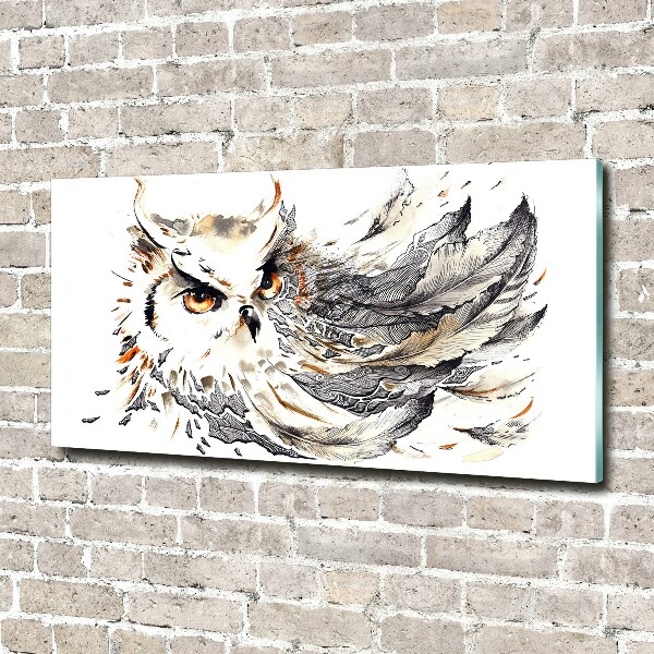 Glass acrylic wall art Owl