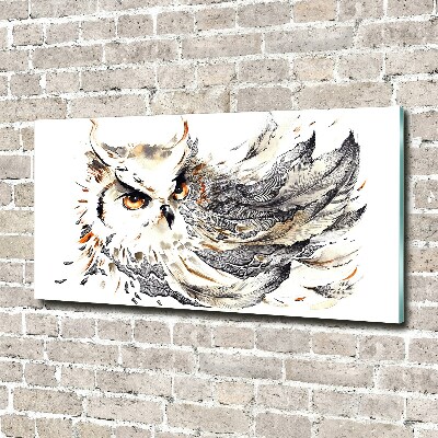 Glass acrylic wall art Owl