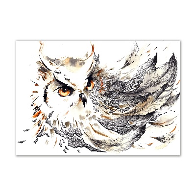 Glass acrylic wall art Owl