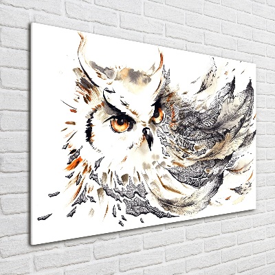 Glass acrylic wall art Owl