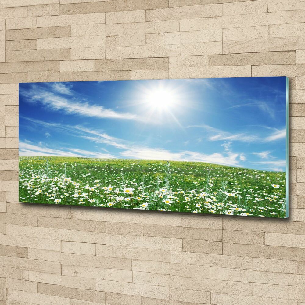 Wall art acrylic Meadow