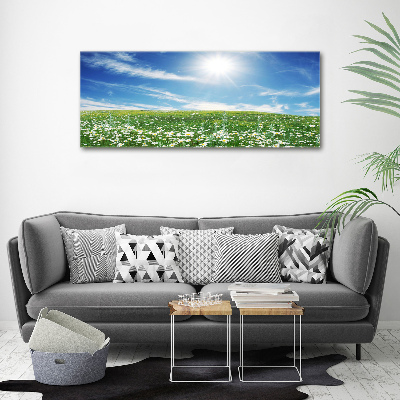 Wall art acrylic Meadow