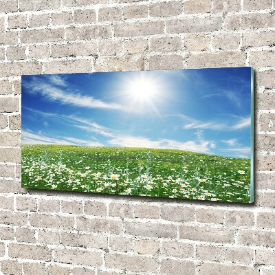 Wall art acrylic Meadow