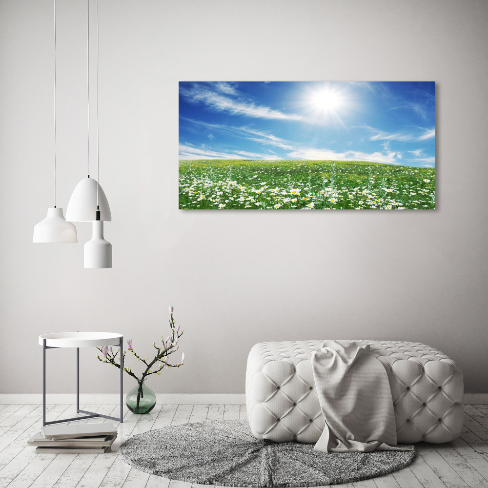 Wall art acrylic Meadow