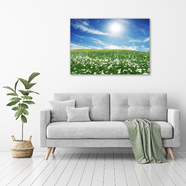 Wall art acrylic Meadow