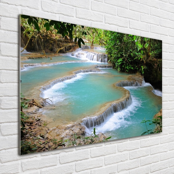 Wall art acrylic Waterfall in the forest