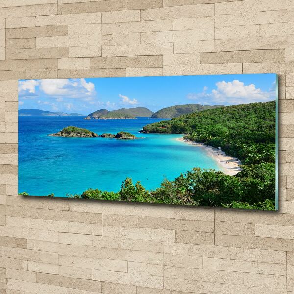 Acrylic wall art Virgin Islands