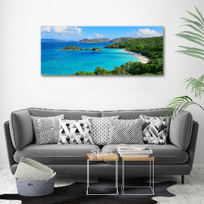 Acrylic wall art Virgin Islands