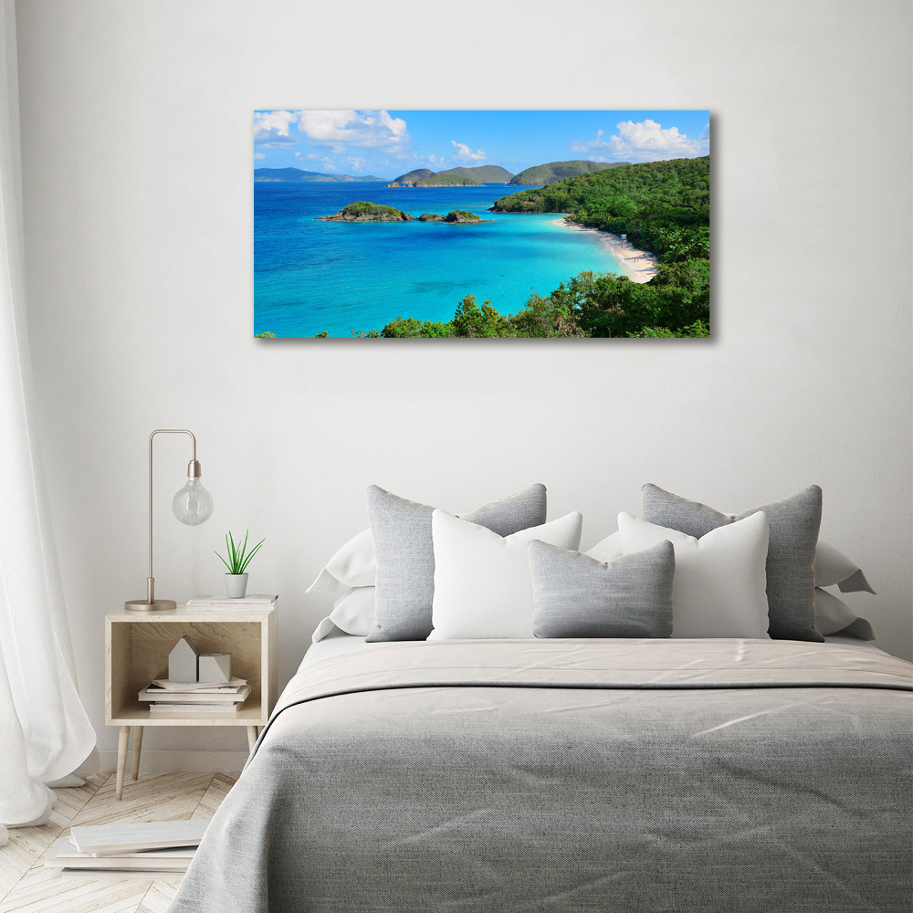 Acrylic wall art Virgin Islands