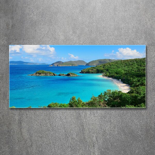 Acrylic wall art Virgin Islands