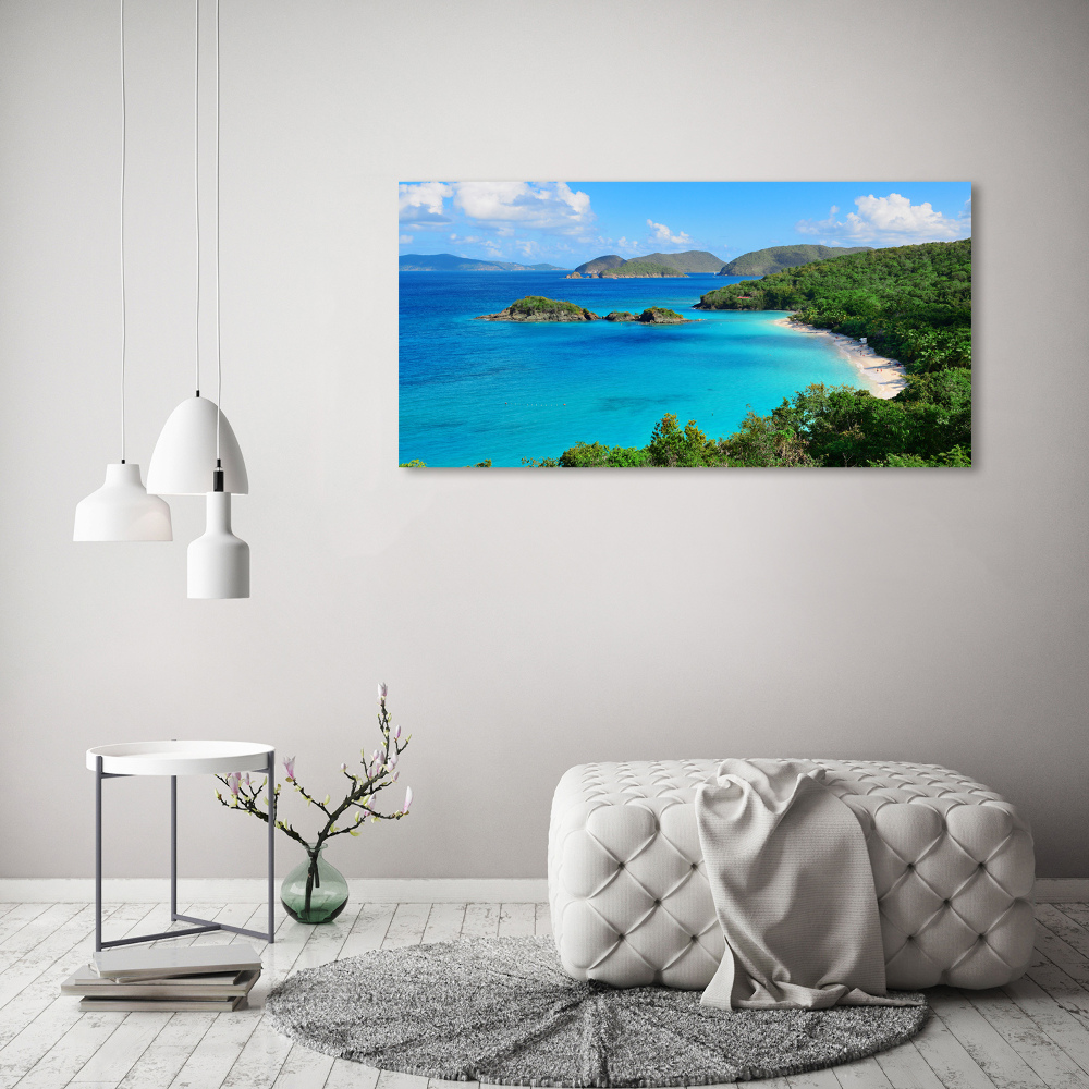 Acrylic wall art Virgin Islands