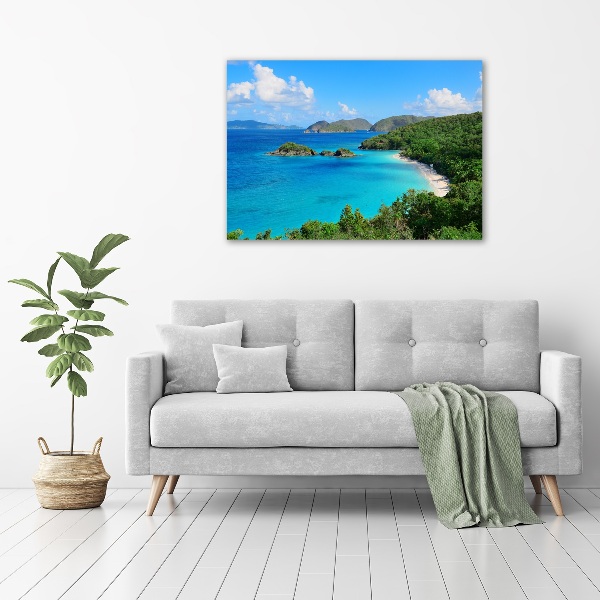 Acrylic wall art Virgin Islands