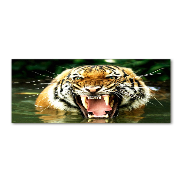 Glass acrylic wall art Roaring tiger