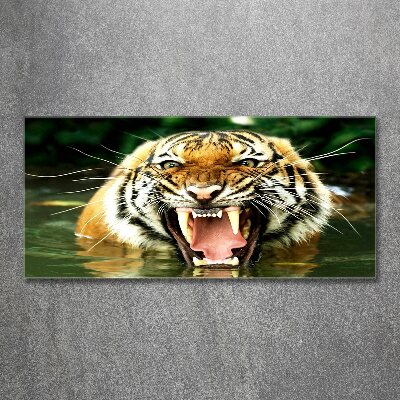 Glass acrylic wall art Roaring tiger