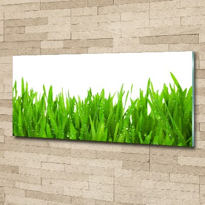 Print on acrylic Grass